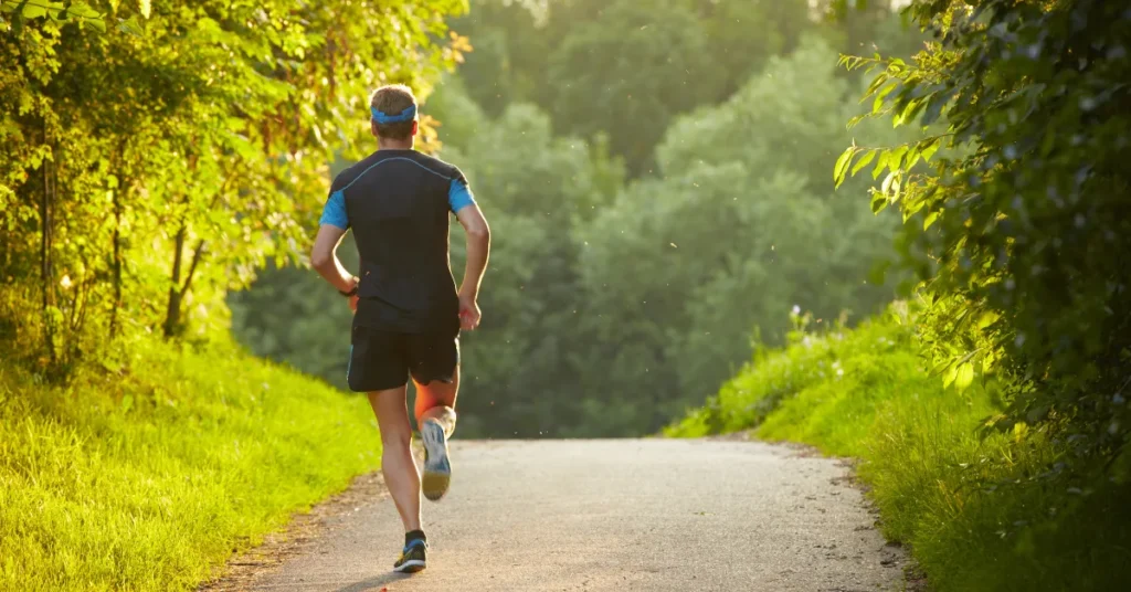 DIF efterlyser mere friluftsliv i nye skove