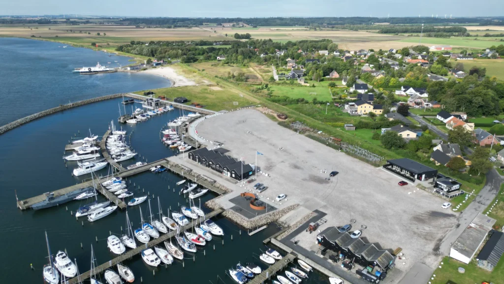 Randers Kommune samler døde fugle ind ved Udbyhøj efter fund af fugleinfluenza