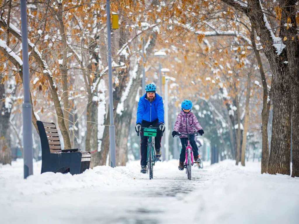 Dagens vejr: Snebyger og blæst præger dagen – lidt sol, ellers mest skyet