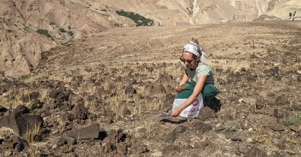 Nyt studie: De første bønder kan have hentet kornet et andet sted end vi troede