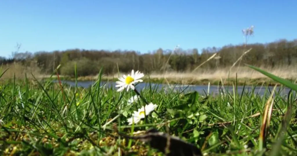 Flere kommuner med i grønt samarbejde: 3 millioner skal få flere midtjyder til at handle på klimaet i hverdagen